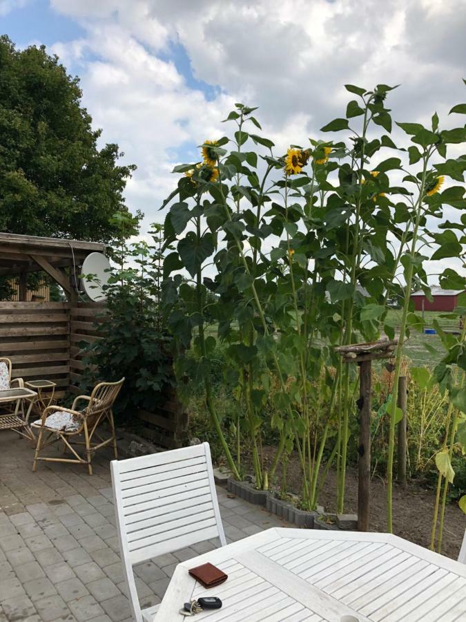 A Big Holidayhouse Romo-Rim-Ribe Skaerbaek Luaran gambar